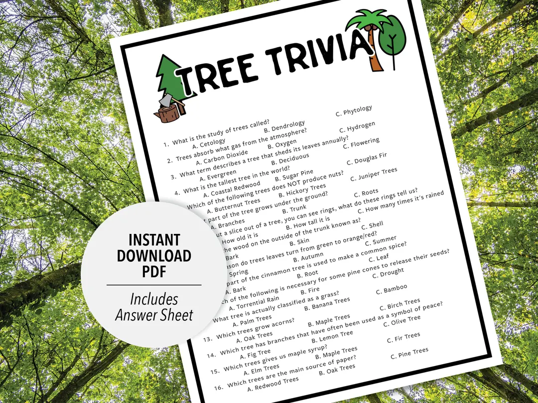 Colorful cut-and-paste worksheet for testing tree knowledge in Pre-K children