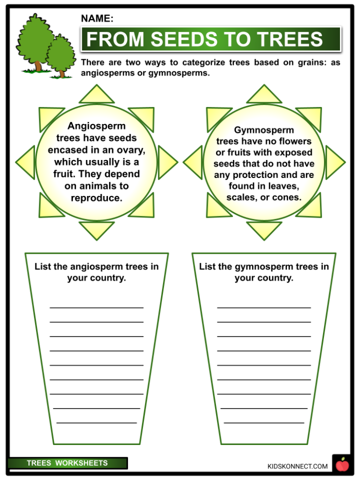 Colorful cut-and-paste worksheet for testing tree knowledge in Pre-K kids