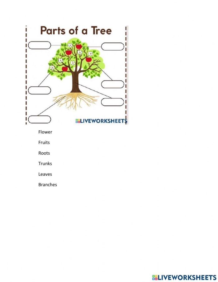 Colorful cut-and-paste tree chart for testing children's knowledge of trees