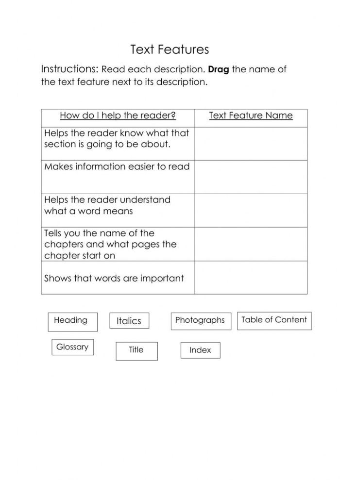 Text Feature Descriptions worksheet for third graders to enhance vocabulary skills