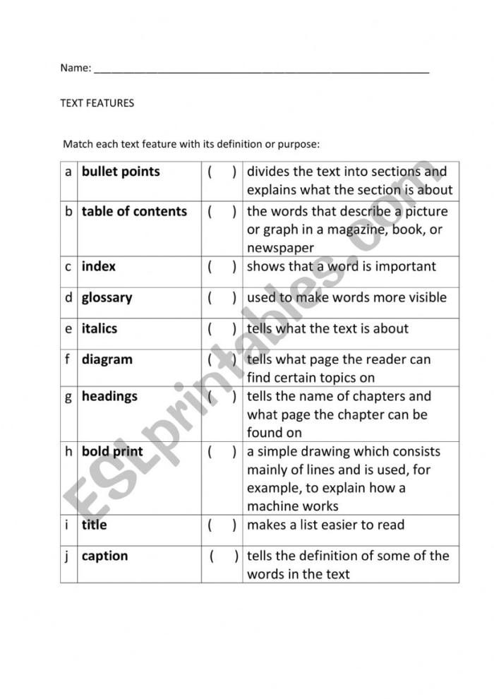 Text Feature Descriptions worksheet for third graders focusing on vocabulary practice