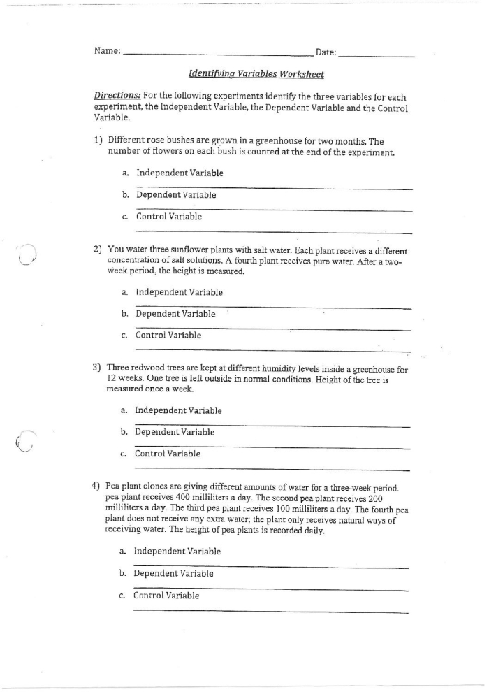 Worksheet featuring essential reading comprehension questions for close text analysis Text Dependent Questions for Independent Reading worksheet designed for third graders