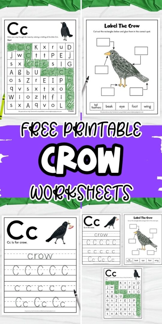 A colorful illustration related to The Crow and the Jug worksheet for second graders learning algebra. Visual representation of a scene from Aesop's fable to enhance reading comprehension skills.