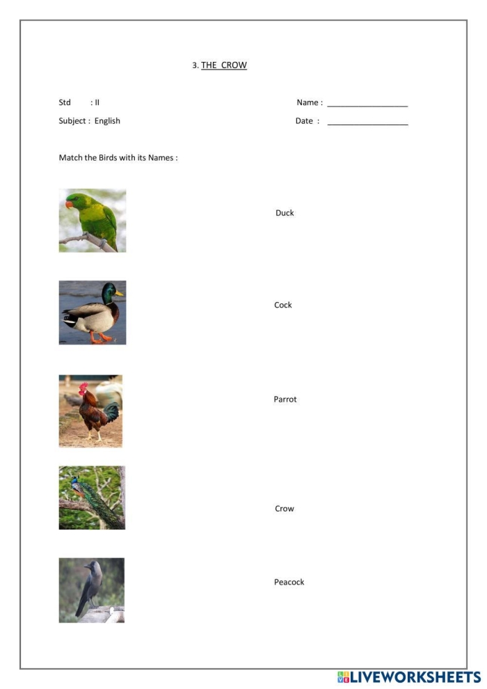 Worksheet featuring The Crow and the Jug for second grade algebra students
