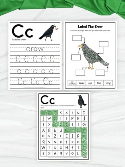 Worksheet featuring The Crow and the Jug for second graders to enhance reading comprehension skills. Educational image illustrating Aesop's fable to teach central lessons and morals.