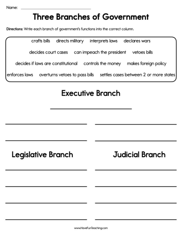Second grade social studies worksheet about the three branches of the US government with label activities