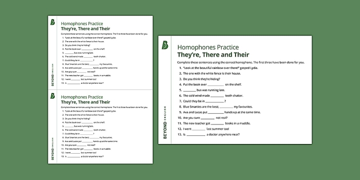 Second grade grammar worksheet showing exercises to practice using there, their, and they're correctly in sentences