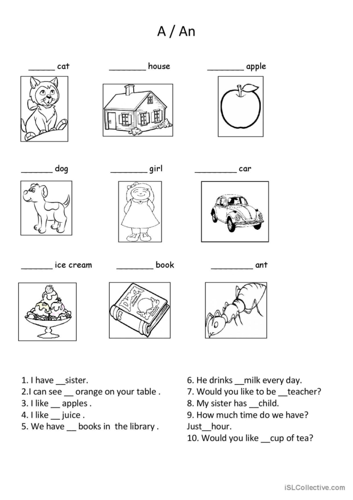 Educational resource for mastering determiners in English language for young learners Worksheet helping third graders learn the use of "a" and "an" in sentences