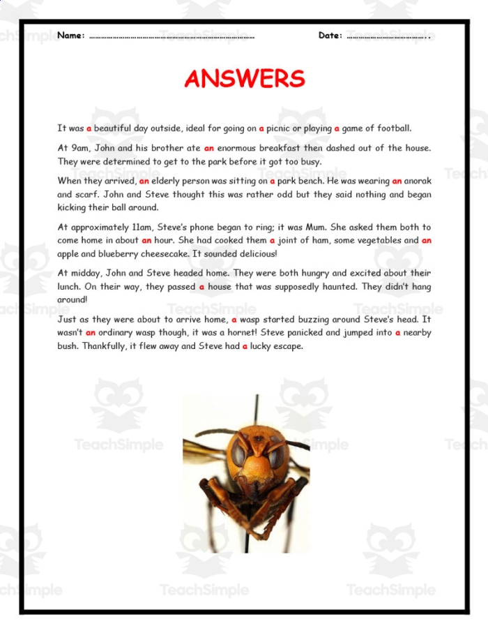 Engaging "A" or "An" worksheet for young learners in writing skills Worksheet for teaching the difference between "a" and "an" for third graders