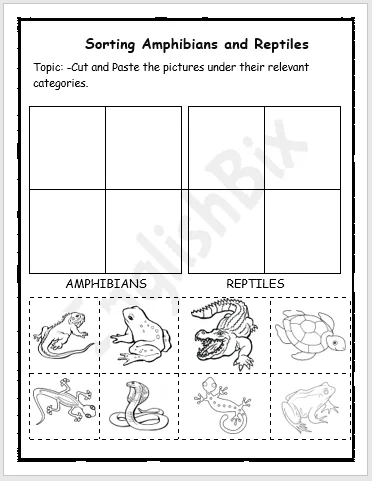 Third grade science worksheet featuring illustrations of amphibians and reptiles found in Yellowstone National Park