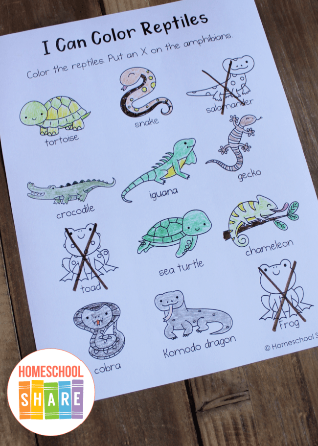 Third grade science worksheet featuring illustrations of various amphibians and reptiles found in Yellowstone National Park