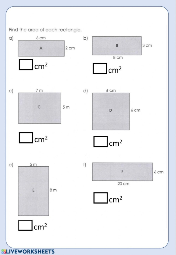 An engaging introduction to area for young learners in third grade Area worksheet for third graders focusing on decimals and the fundamentals of measuring space