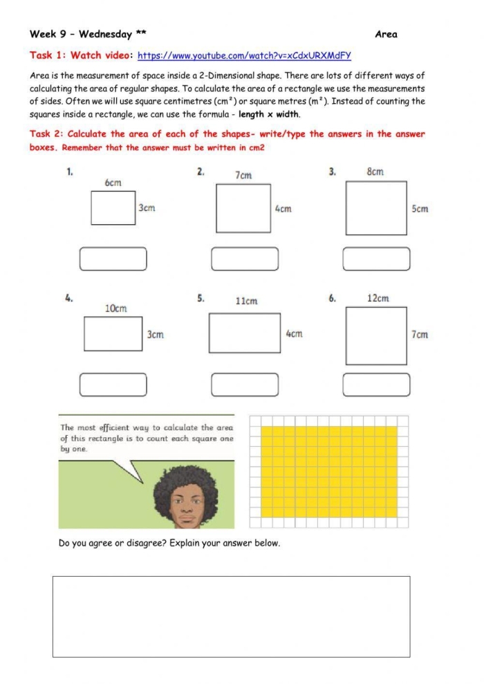 An Introduction to Area worksheet for grade 3 students Worksheet on the basics of area for third-grade students learning about decimals