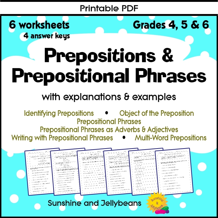 Its Grammar Time Prepositional Phrases 1 Worksheet 23 Third grade student working on a prepositional phrase practice worksheet about sentence details