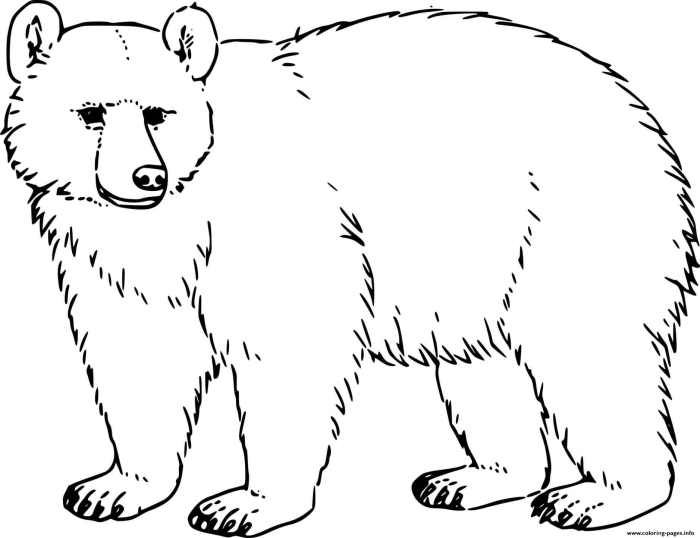 Third grade life science worksheet featuring black bears in Yellowstone National Park