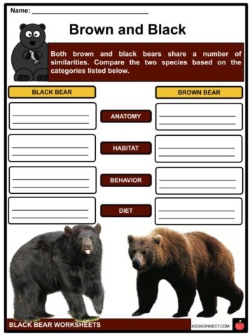 Third grade science worksheet featuring a black bear from Yellowstone National Park