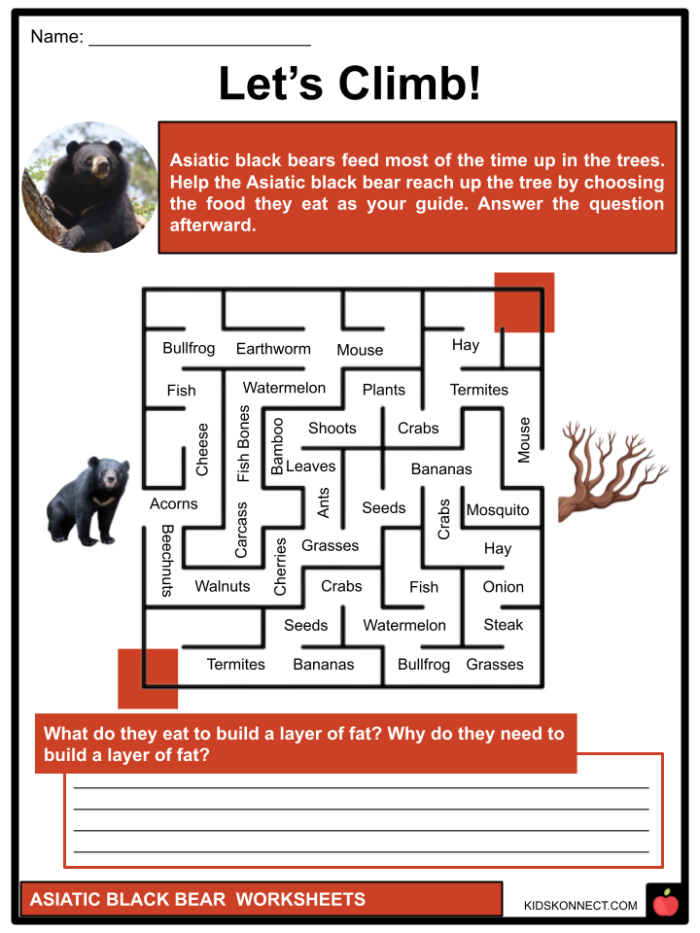 Third grade life science worksheet featuring a black bear in Yellowstone National Park