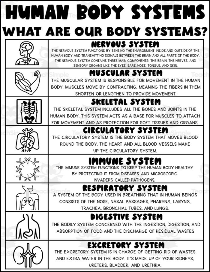 Life Science Crossword worksheet featuring body systems vocabulary and definitions for third graders