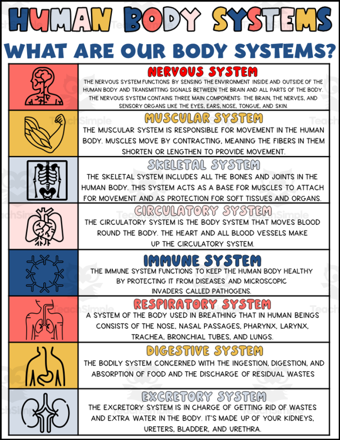 Life Science Crossword worksheet focused on body systems vocabulary and definitions for third graders
