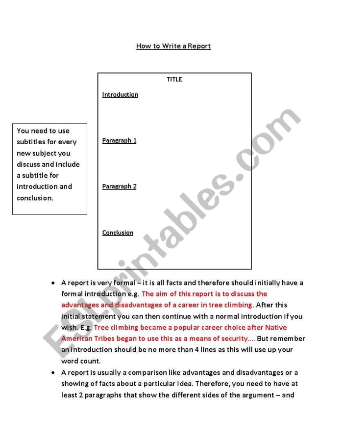 Educational resource for understanding book reports in third-grade geometry Writing the Report worksheet for third graders focusing on book report components