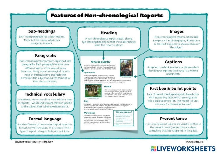 Visual guide for the Writing the Report worksheet in third-grade geometry Writing the Report worksheet for third graders focusing on book report components