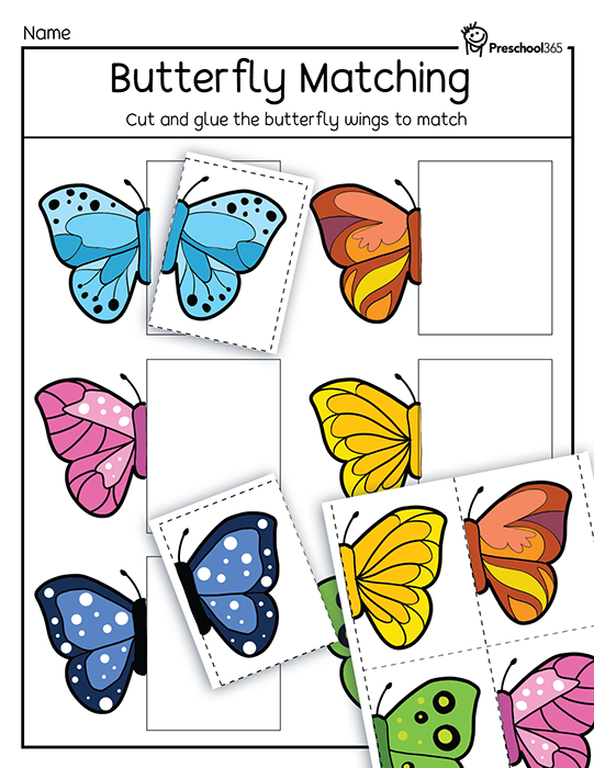 Butterflies summary worksheet for nonfiction text activities Worksheet for summarizing butterfly life cycle vocabulary for third graders