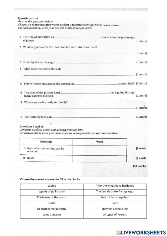 Butterflies worksheet for creating nonfiction summaries in third grade classrooms A colorful worksheet designed for third graders to summarize butterfly life cycle texts