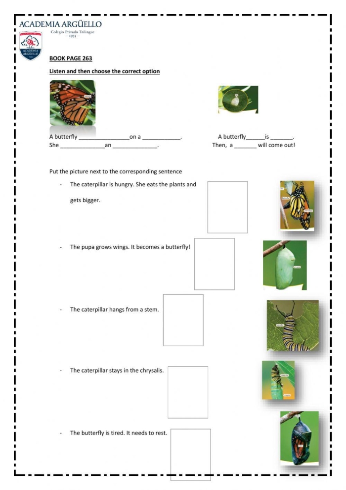 Make a Summary Butterflies Worksheet Lesson Activity 20 Third grade students identifying vocabulary and summarizing facts on a butterfly life cycle worksheet