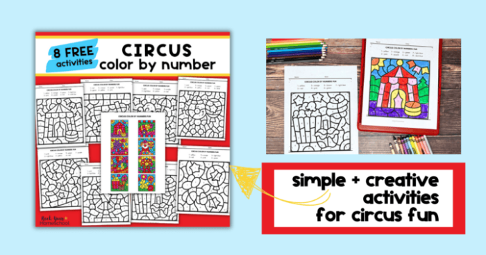 Circus Color By Number worksheet featuring engaging division facts for third graders