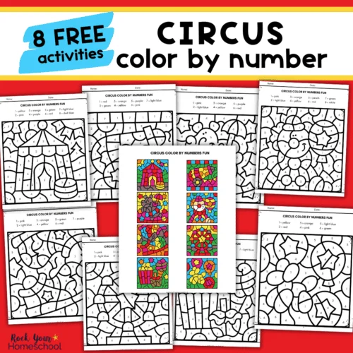 Third grade students learn division facts while revealing a fun circus scene in this color by number activity