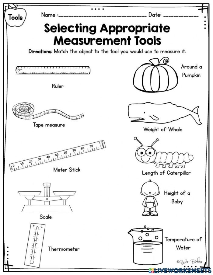 Measurement & Data Check-Up worksheet for third graders assessing algebra skills