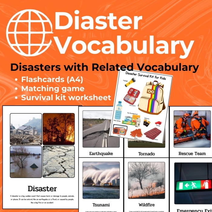 Master of Disaster Vocabulary Worksheet 19 for Third Grade Science Skills Third grade reading worksheet featuring natural disaster vocabulary exercises for science practice