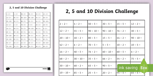 Division Challenge Level 2 worksheet featuring two-digit divisors and three-digit dividends for third graders