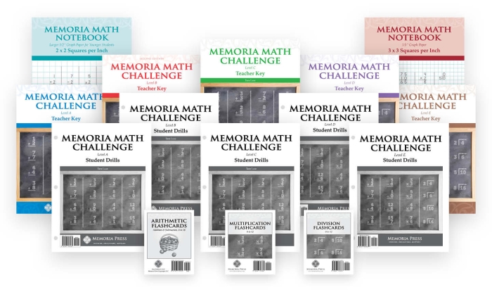 Third grade math worksheet featuring twenty division problems for level one practice