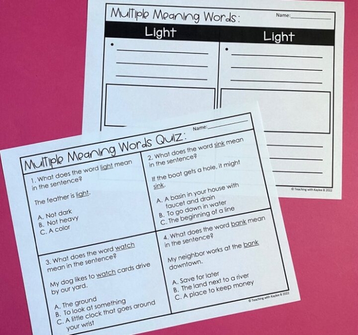 Creative sentence writing with homographs for grade 3 students Worksheet featuring double meaning words for third graders