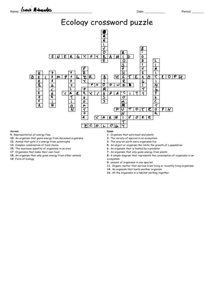 Life science crossword puzzle focused on ecosystems for third graders