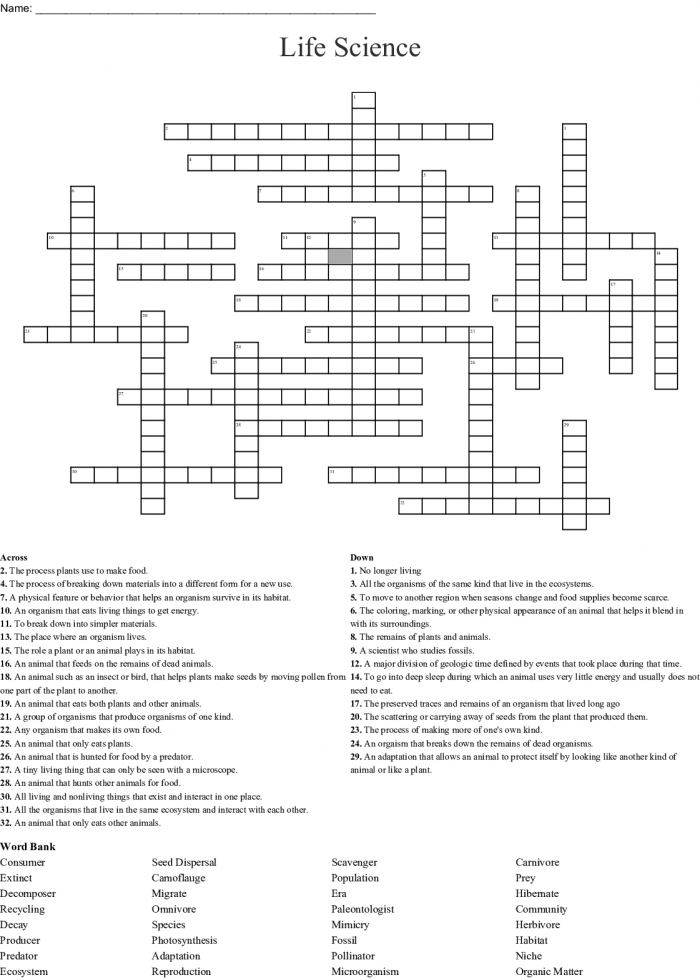 Life Science crossword puzzle focused on ecosystems for third graders