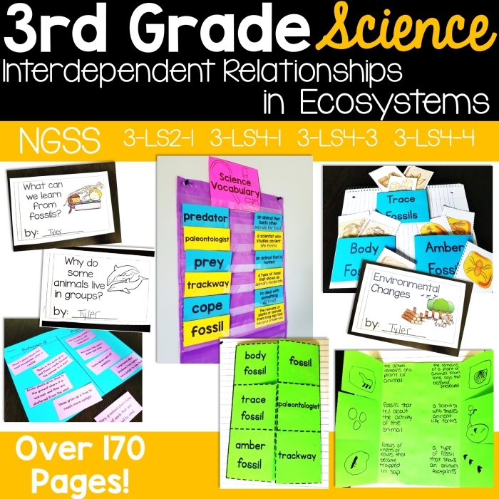 Life Science crossword puzzle focusing on ecosystems for third graders
