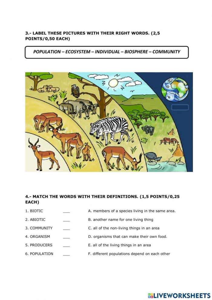 Life Science crossword puzzle featuring ecosystems for third graders