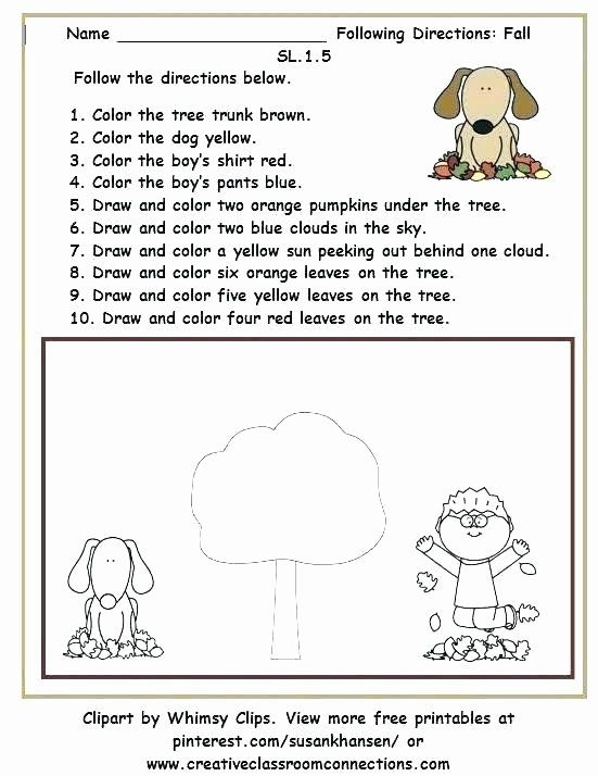 Third grade reading comprehension worksheet about following directions to make a tornado in a bottle