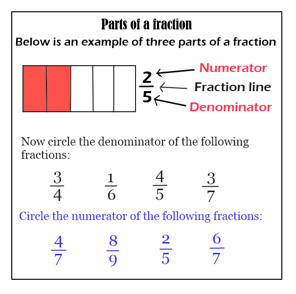 Worksheet illustrating the concepts of numerator and denominator for third graders learning fractions