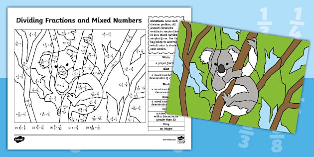 Color the Fractions worksheet for Third Grade