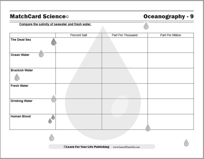 Engaging worksheet for third graders on fresh and salt water interactions Fresh Water and Salt Water worksheet illustrating the mixing of ocean and river water