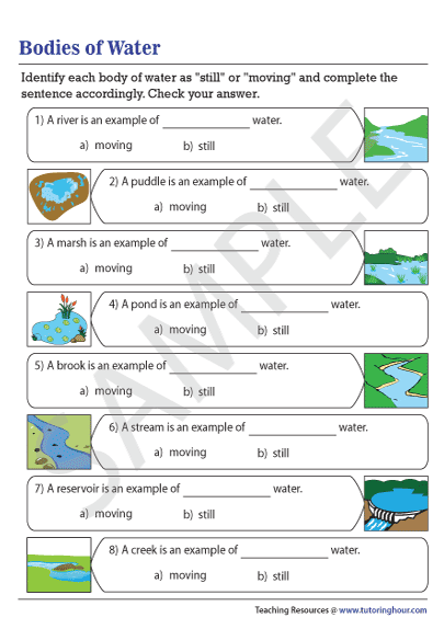 Explore the mixing of fresh and salt water in this educational worksheet for third graders Fresh Water and Salt Water worksheet showing the interaction between ocean and river water