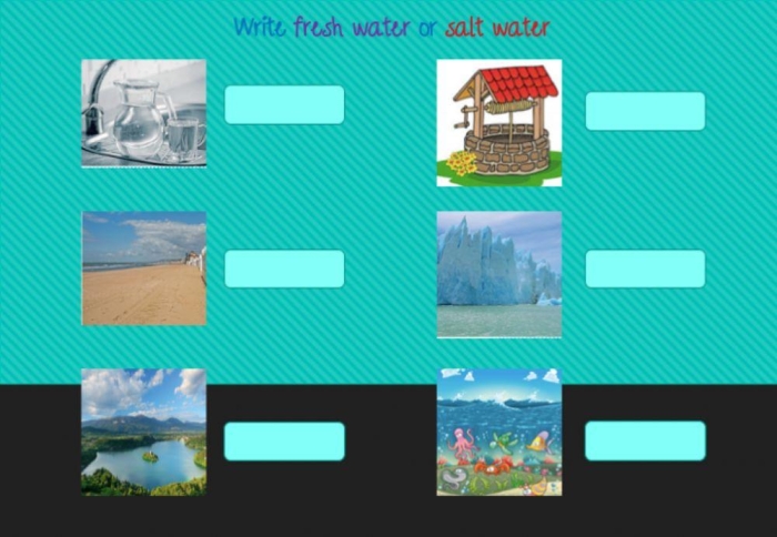 Engaging activity on the mixing of fresh and salt water in the water cycle Colorful worksheet illustrating the differences between fresh water and salt water for third graders
