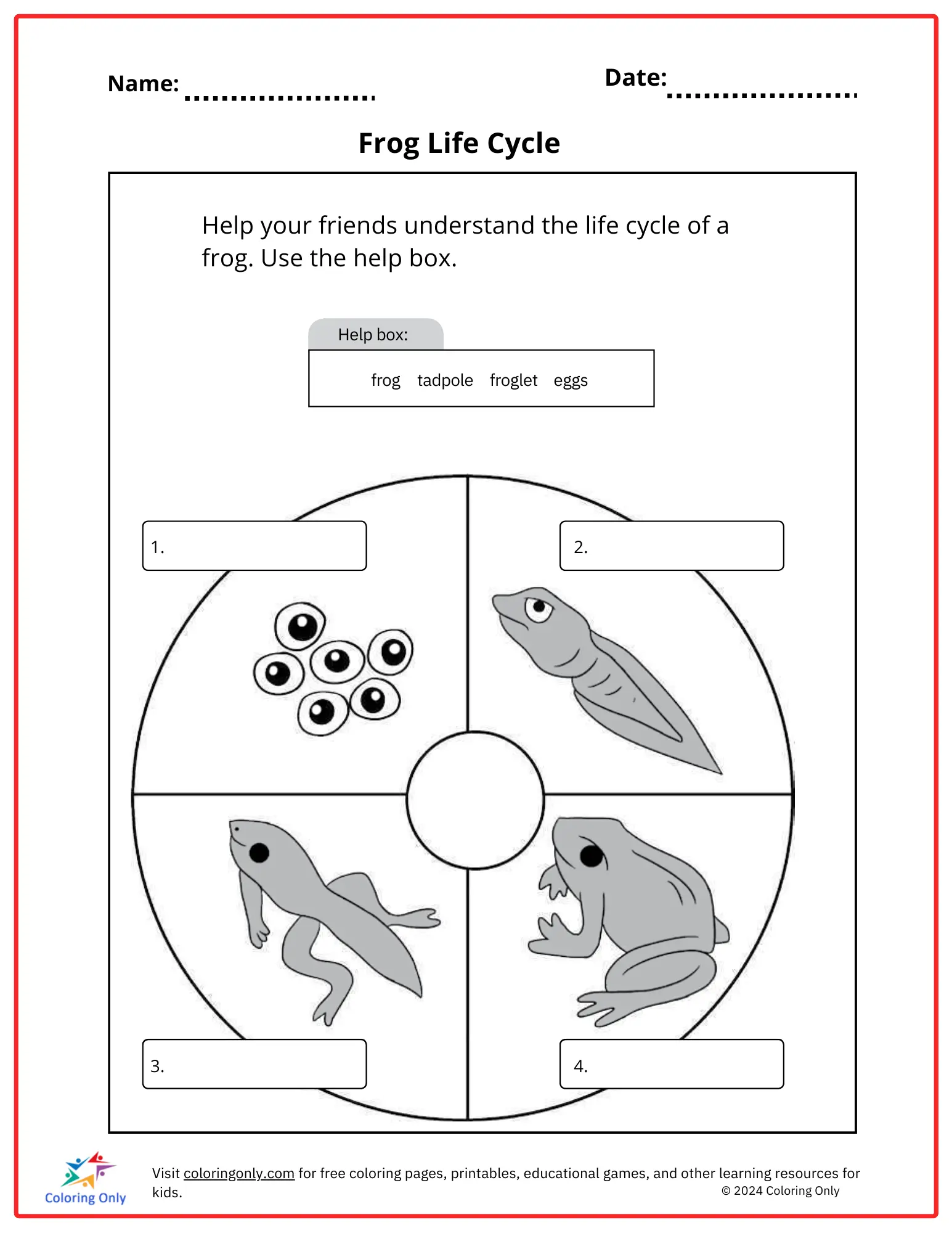 Worksheet for practicing point of view on the life cycle of a frog for third graders