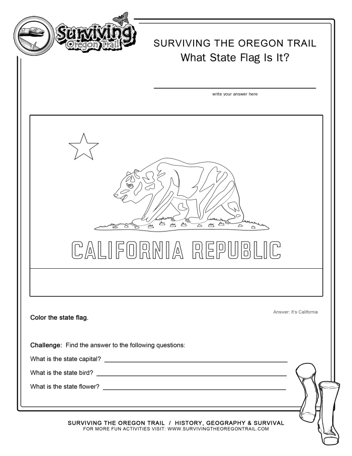 Interactive U.S. map worksheet for third graders to color their home state and travel destinations