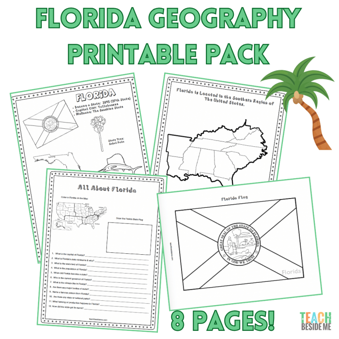 Kids coloring a U.S. map to identify their home state and travel locations on a geography worksheet. Geography: Color the States! worksheet for third graders.