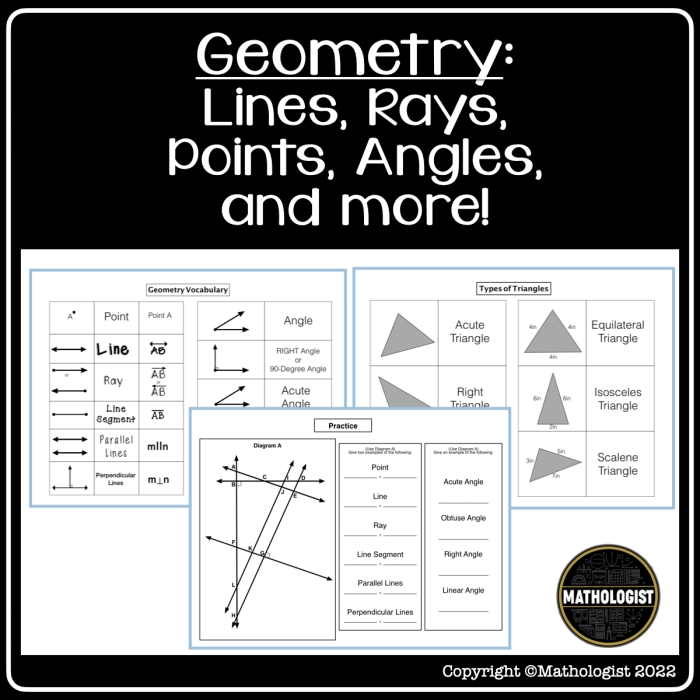 Third grade geometry worksheet featuring exercises for identifying lines, line segments, and rays