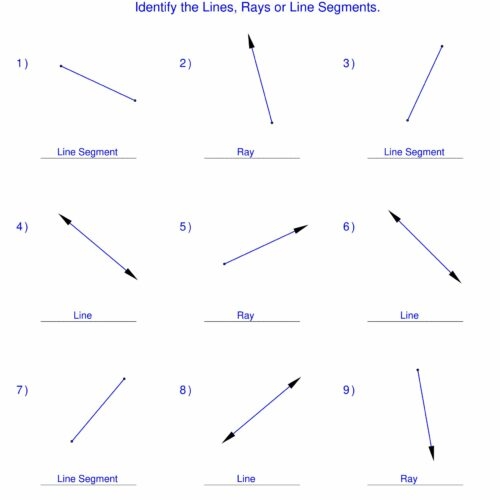 Worksheet featuring lines, line segments, and rays for third graders to practice geometry concepts